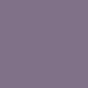 Columbia Men Purple Helvetia Half Snap Fleece Top