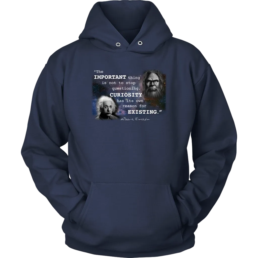 Einstein Questioning Hoodie