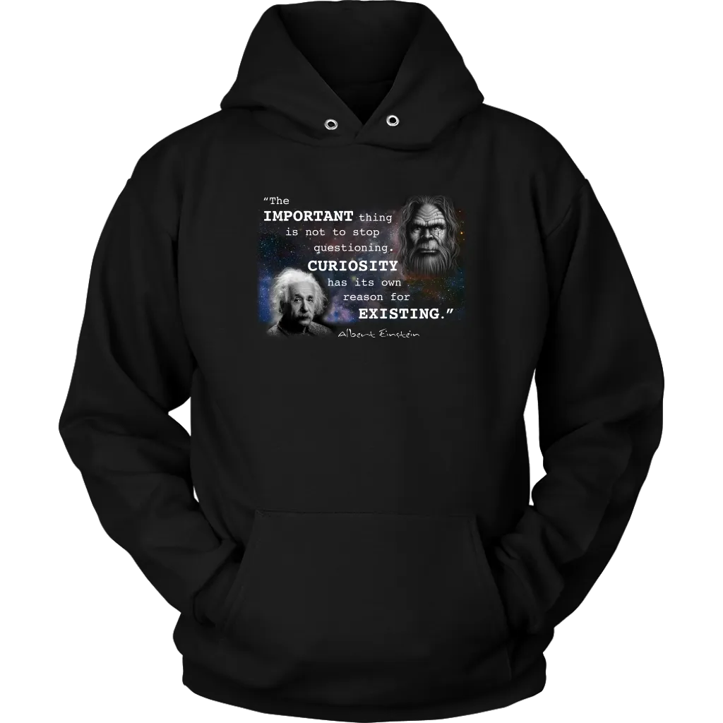 Einstein Questioning Hoodie