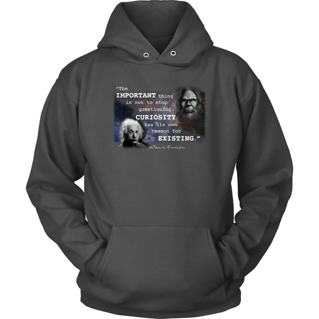 Einstein Questioning Hoodie
