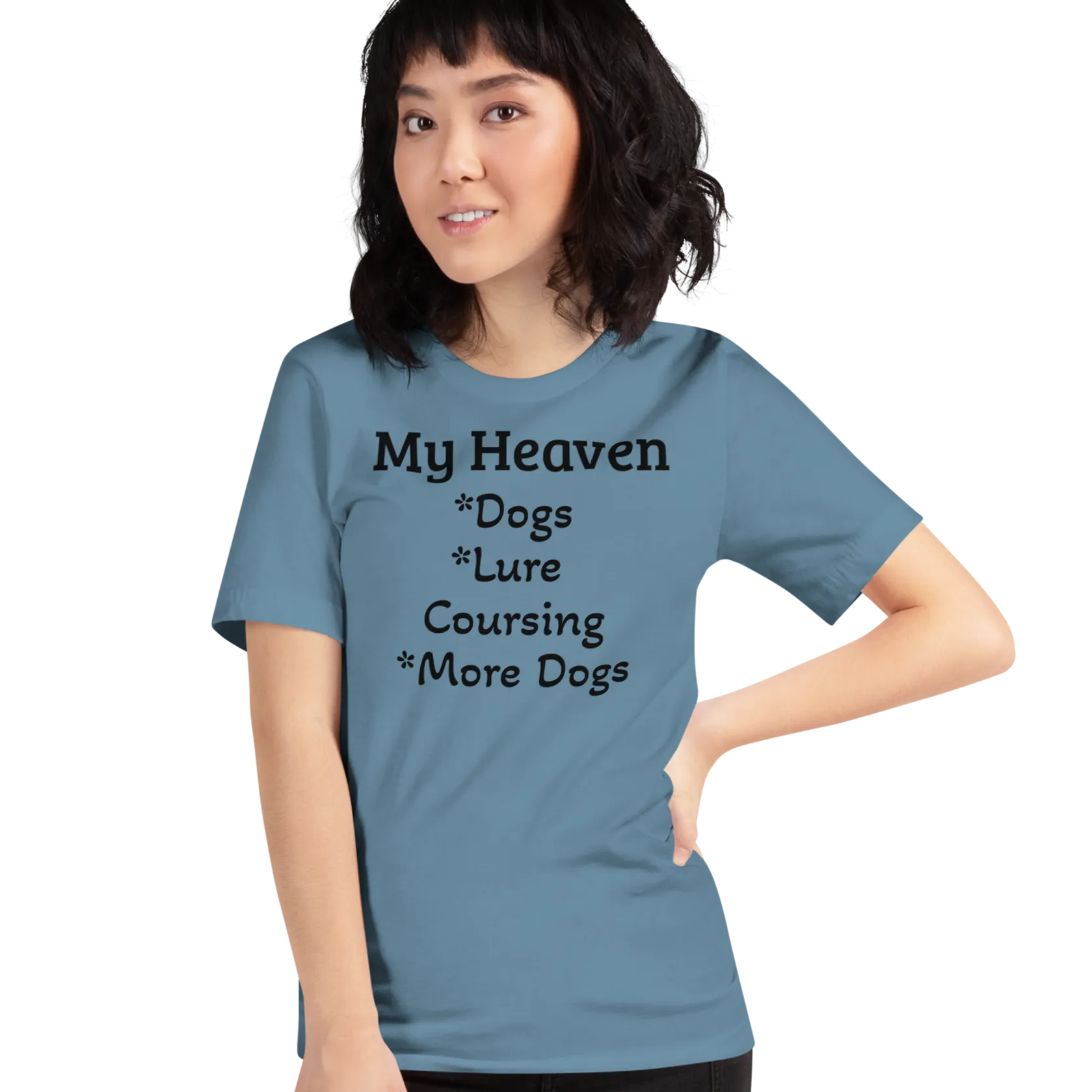 My Heaven Lure Coursing T-Shirts - Light