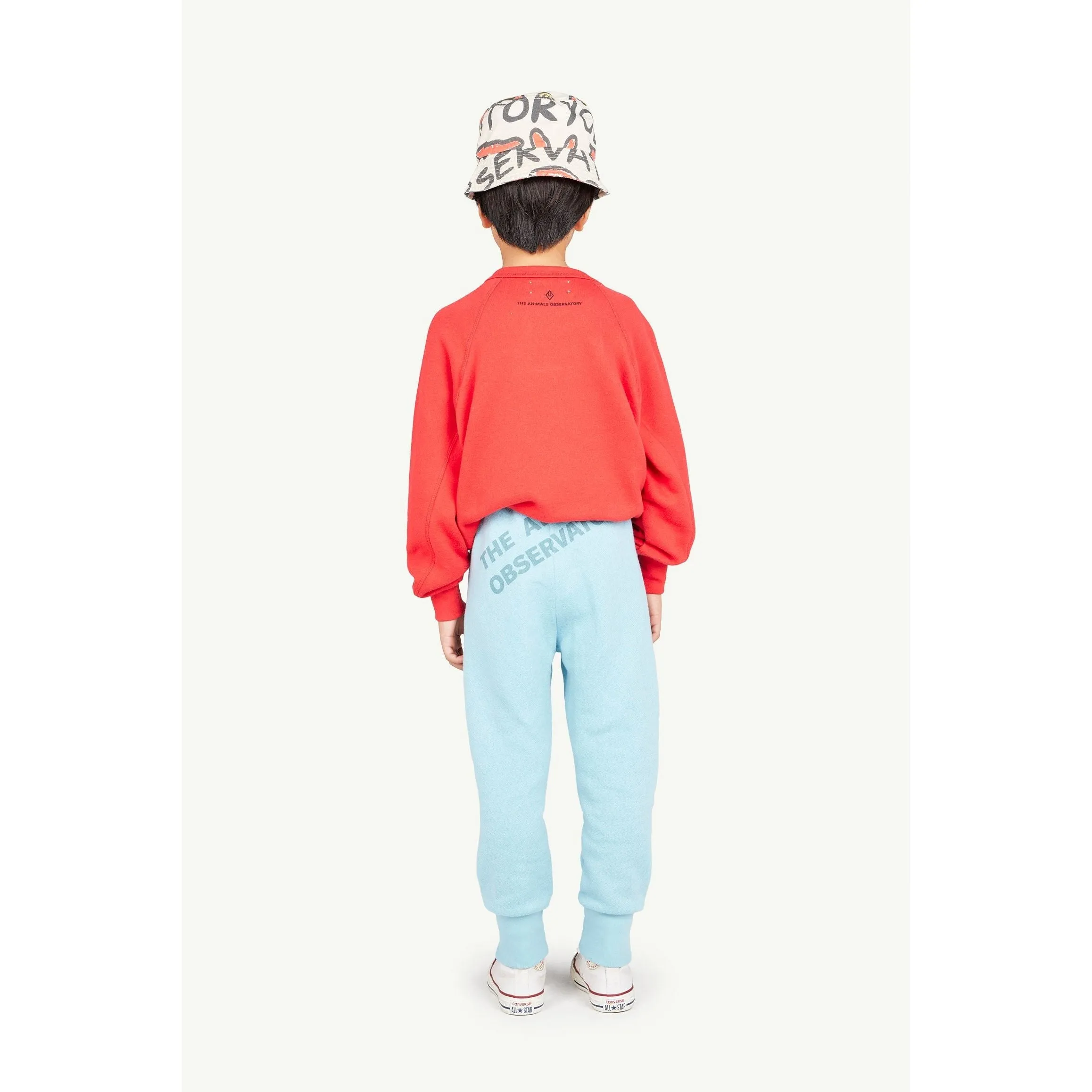 Shark Sweatshirt Red